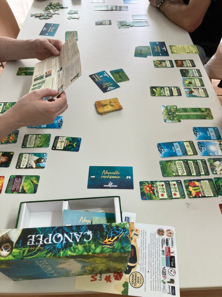 Ce matin petite partie d’un dernier jeu : les jardins… – 15 juin 2025